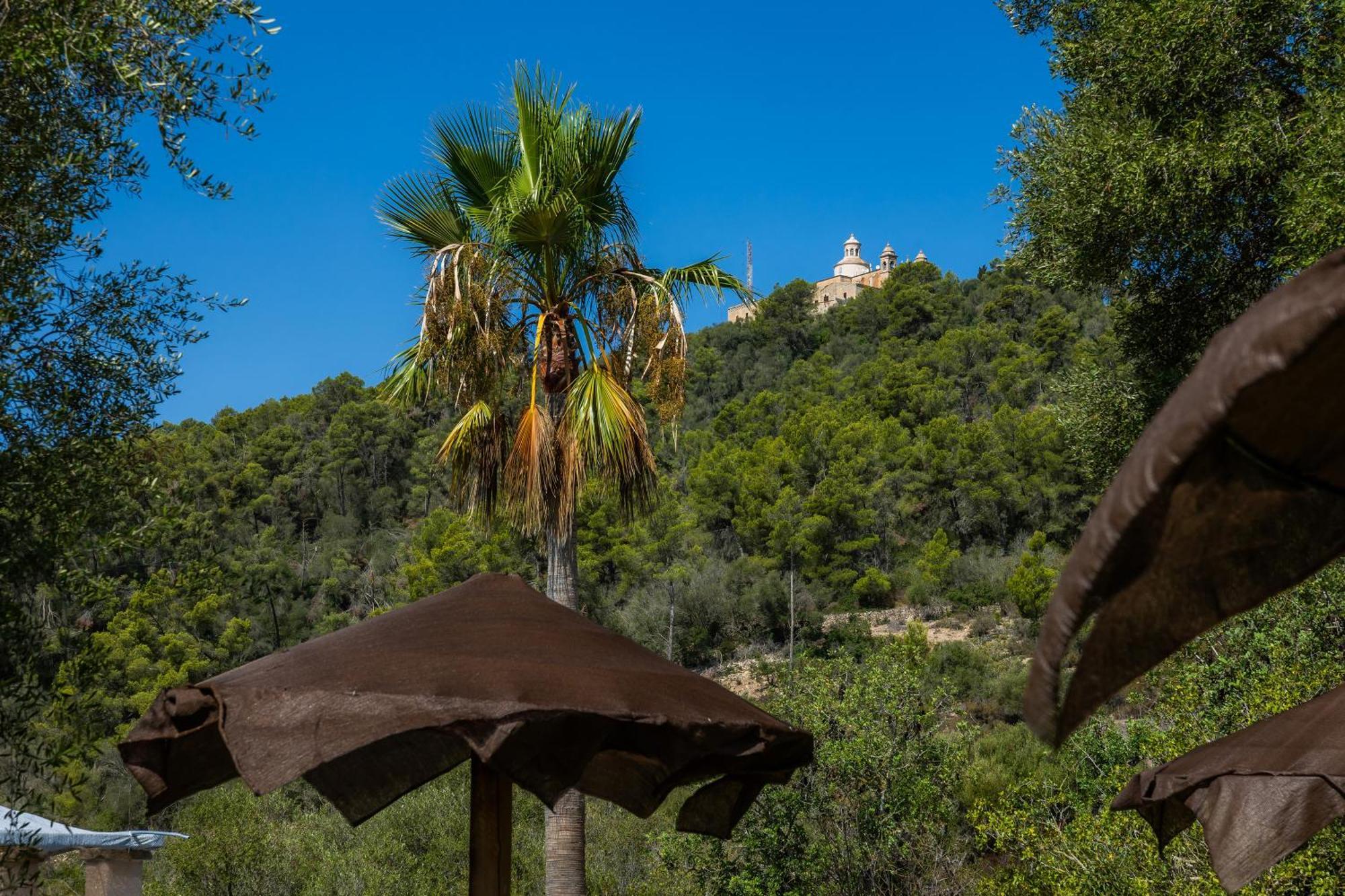 Es Sestador Petra (Mallorca)